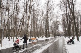 В Центральном парке Тулы появятся новые арт-объекты и лабиринт