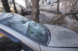 В Туле сильный ветер валит деревья