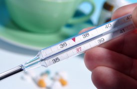 В Тульской области зарегистрировано 55 случаев заболевания свиным гриппом