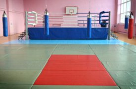 Тульским боксерам подарили ринг от Кости Дзю