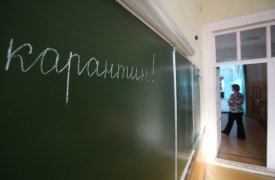 В связи с эпидемией гриппа начали закрывать тульские школы