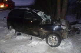 В Тульской области водитель «Kia Rio» врезался в дерево