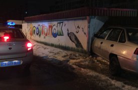 В Туле пьяный водитель врезался в зооуголок и попытался скрыться