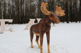 Тульскому лосю вернули украденные рога