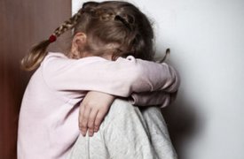 Тульский омбудсмен Наталья Зыкова расследует дело Новомосковского педофила