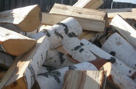 Оставшихся без газа жителей Плеханово обеспечат электроприборами и дровами