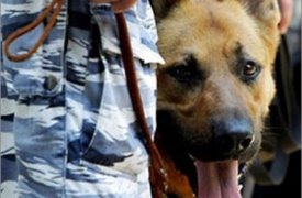 Полиция с помощью служебной собаки задержала двух воров