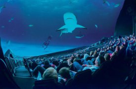 В Туле появится первый кинотеатр формата IMAX
