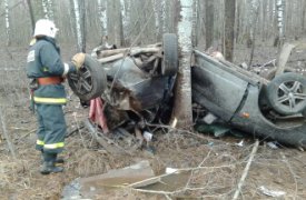 Под Тулой «Лада Приора» улетела в кювет