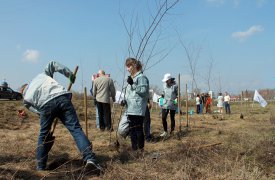 В поселке Епифань появилась «Аллея памяти»