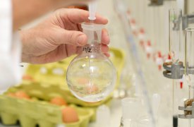 В Тульской области выявлены заболевания сельскохозяйтвеных животных