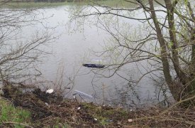 В Киреевском районе машина с водителем упала в пруд: подробности ДТП
