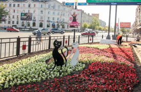 В центре Тулы появилась цветочная композиция с кошками