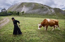 В Туле стартовал фотоконкурс «Пастырь мудрый, пастырь добрый!»