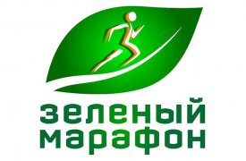 Туляки пробежали «Зеленый марафон - 2016»