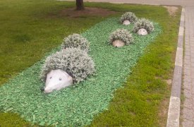 Цветочная композиция 