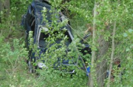 Под Тулой водитель «Форда» улетел в кювет и врезался в дерево