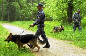 В Богородицком районе в ночь на воскресенье полиция искала трех заблудившихся парней