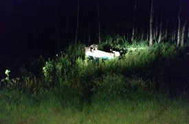 Под Тулой в перевернутой «девятке» пострадали 4 человека