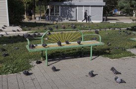 11 скверов Тулы приведут в порядок