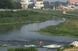 С приходом жары туляки вновь принимают «гидромассажные ванны» в Упе