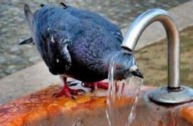 МЧС предупреждает: В Тульской области опасная жара