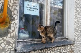 Погода в Туле: дожди приходят по ночам