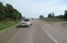 Под Тулой водитель «Hyundai» сбил двух детей: один мальчик в коме