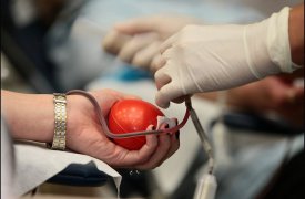Судебные приставы Новомосковска стали донорами крови для детей