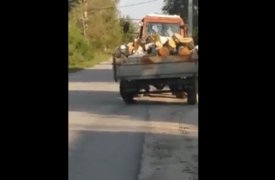 В Туле «хромой» трактор перевозил дрова