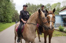 Полицейские парковой группы за неделю «поймали» 26 нарушителей