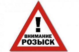 В Тульской области разыскивают пенсионерку, заблудившуюся в лесу