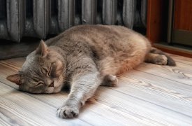 Почти три тысячи тульских домов стали теплыми