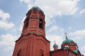 На Куликовом поле обсудят, как сохранить лес