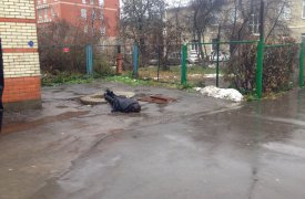 В Туле из канализационного люка достали труп мужчины