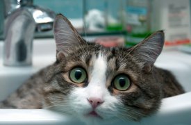 24 ноября множество домов в Туле будут сидеть без воды