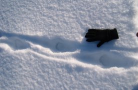В Киреевске родители нашли во дворе тело собственной дочери