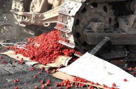 В Туле на Центральном рынке торговали «санкционкой»