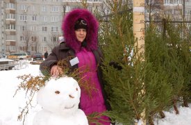Елочные базары в Туле будут действовать до 31 декабря