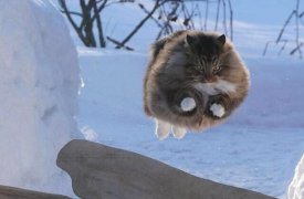 В Туле слякоть и гололед