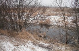 В Богородицке начали расчистку заболоченного ручья