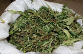 У пьяного жителя Плавска нашли пакет конопли