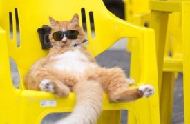Праздничные и длинные выходные в 2017 году