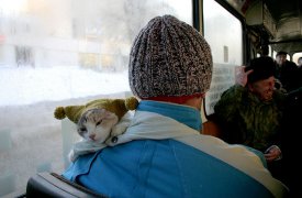 24 января маршруты автобусов №12 и 23 изменятся