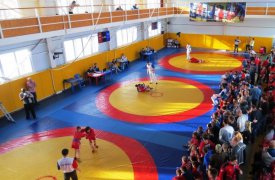 Тульские самбисты вернулись из Можайска не с пустыми руками
