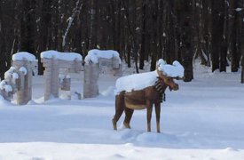 Лося на въезде в Тулу утеплили шарфиком