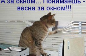 Весна идёт — весне дорогу!