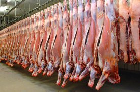В продукции одного из мясокомбинатов Тульской области нашли кишечную палочку