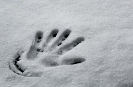 В лесу Плавского района насмерть замёрз московский турист