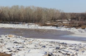 В Тульской области пока не затопило ни одного моста